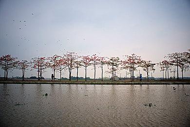 Steam限时优惠：《美女，应接不暇》AI女友等你来探索